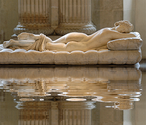 dream reflections of consciousness